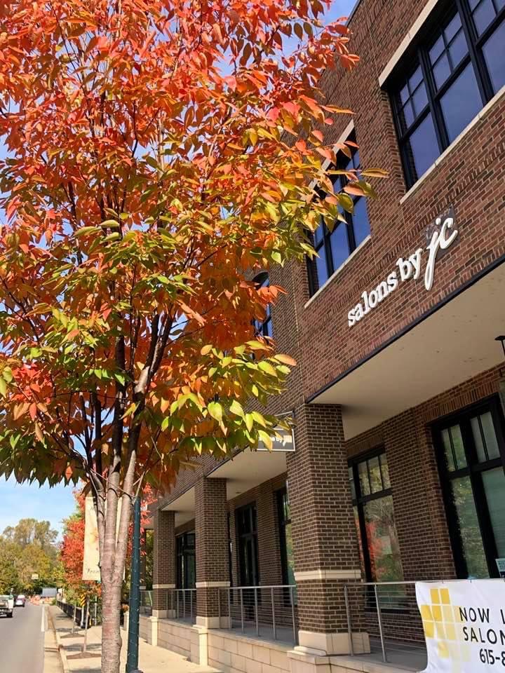 Alisa Cianciolo Hair Studio 37064