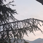 Photo n°1 de l'avis de Francesca.e fait le 18/08/2020 à 11:48 sur le  Hotel Laura Christina à Malcesine