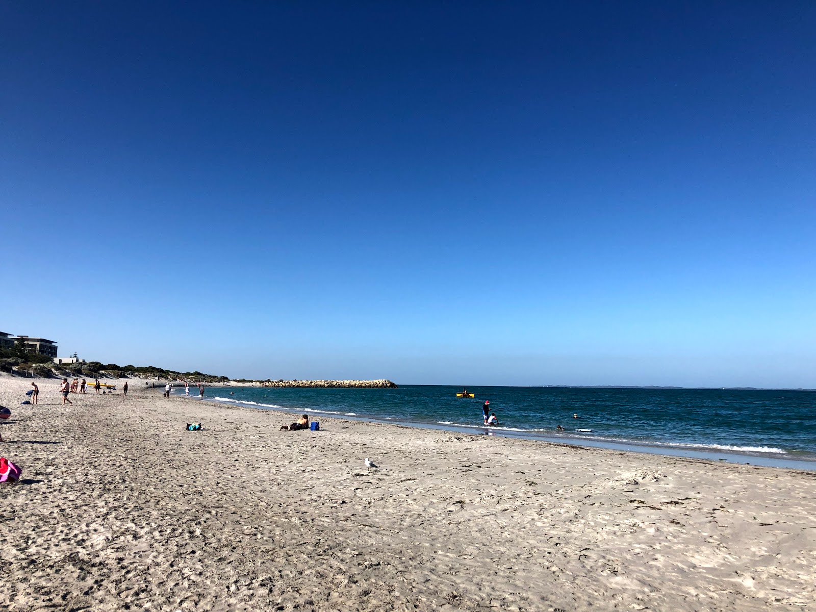Foto von South Beach - guter haustierfreundlicher Ort für den Urlaub