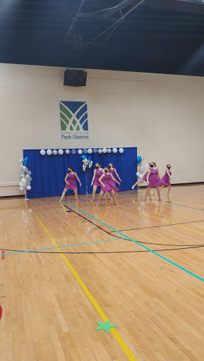 Recreation Center «Simkus Recreation Center», reviews and photos, 849 W Lies Rd, Carol Stream, IL 60188, USA