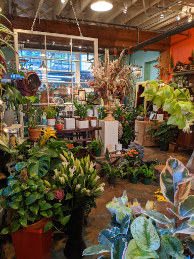 Typical flower shops in Portland