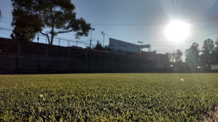 Cancha V&M