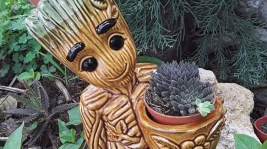 VIVERO FLOR DE JERICO