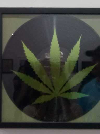 Video Game Store «Insomnia Gallery», reviews and photos, 724 W 19th St, Houston, TX 77008, USA