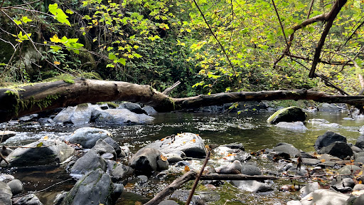 Train Station «Chelatchie Prairie», reviews and photos, 207 N Railroad Ave, Yacolt, WA 98675, USA