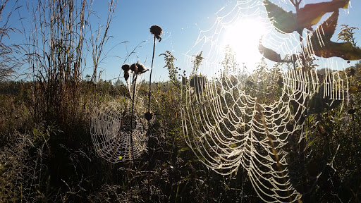 Bird Watching Area «Jelke Creek Bird Sanctuary», reviews and photos, Boncosky Rd, Dundee Township, IL 60118, USA