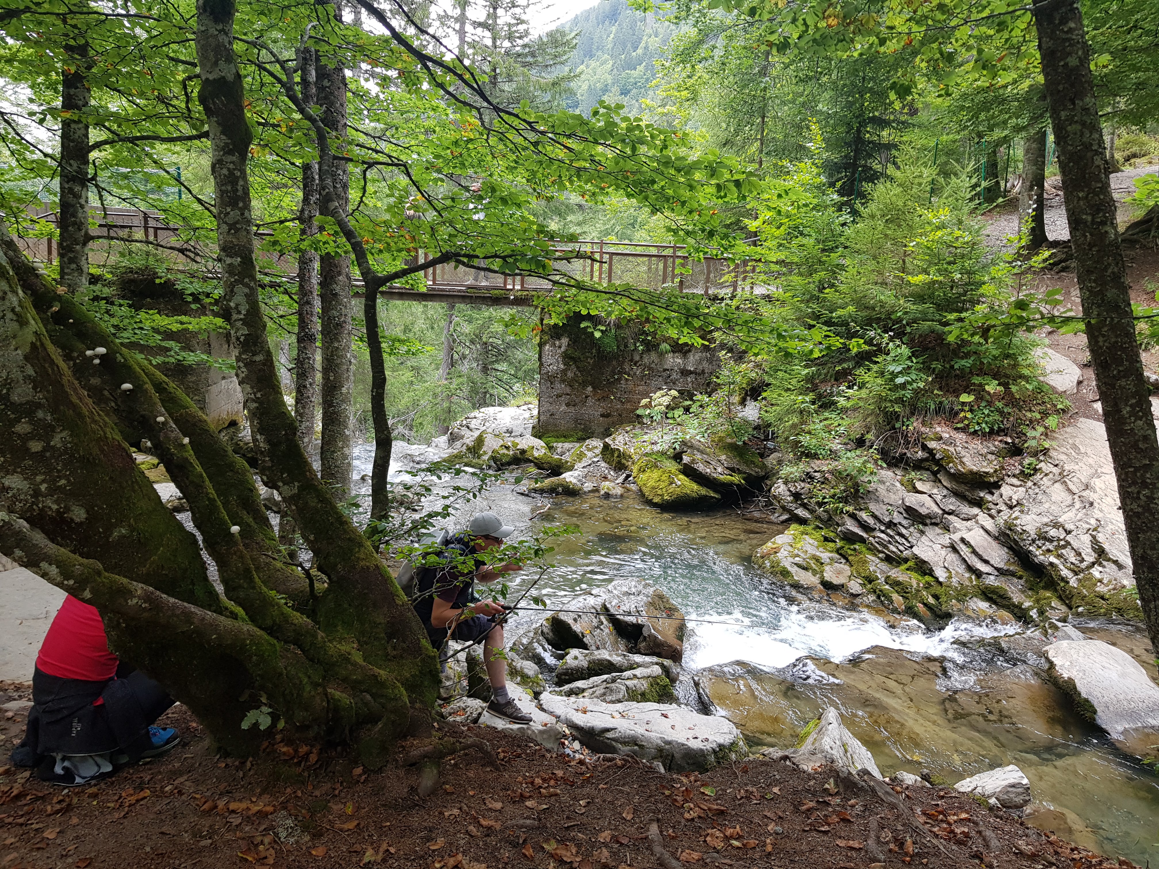 Photo n° 6 de l'avis de Vincent.e fait le 19/09/2019 à 11:09