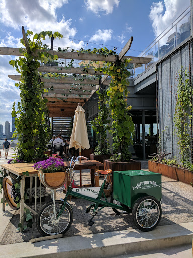 Winery «City Vineyard», reviews and photos, 233 West St, New York, NY 10013, USA