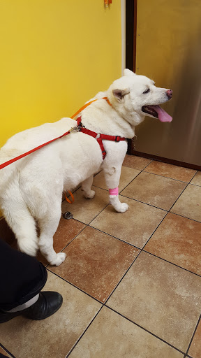 Pet Supply Store «PetSmart», reviews and photos, 250 Grossman Dr, Braintree, MA 02184, USA