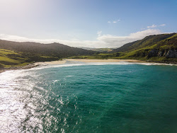 Foto av Purakaunui Bay Beach beläget i naturområde