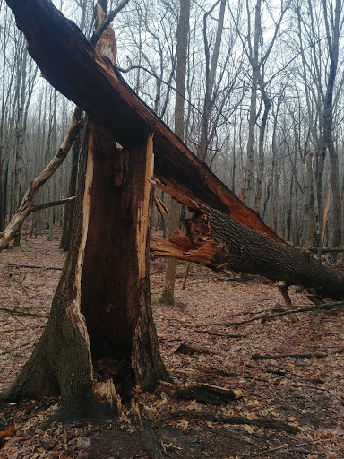 Park «Cleveland Metroparks», reviews and photos, 1969 W Ridgewood Dr, Cleveland, OH 44134, USA