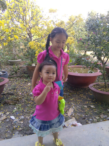 Tayninhinfo.com