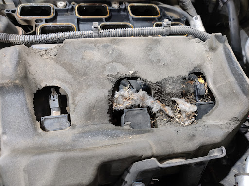 Auto Repair Shop «Blackwell Automotive», reviews and photos, 15440 N 40th St, Phoenix, AZ 85032, USA