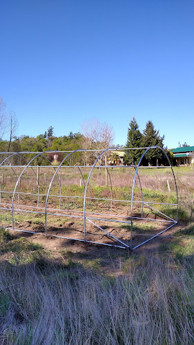 Alto Las Viñas - Los Angeles