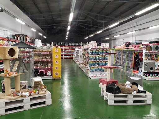 Relamidos en Tàrrega, Lleida