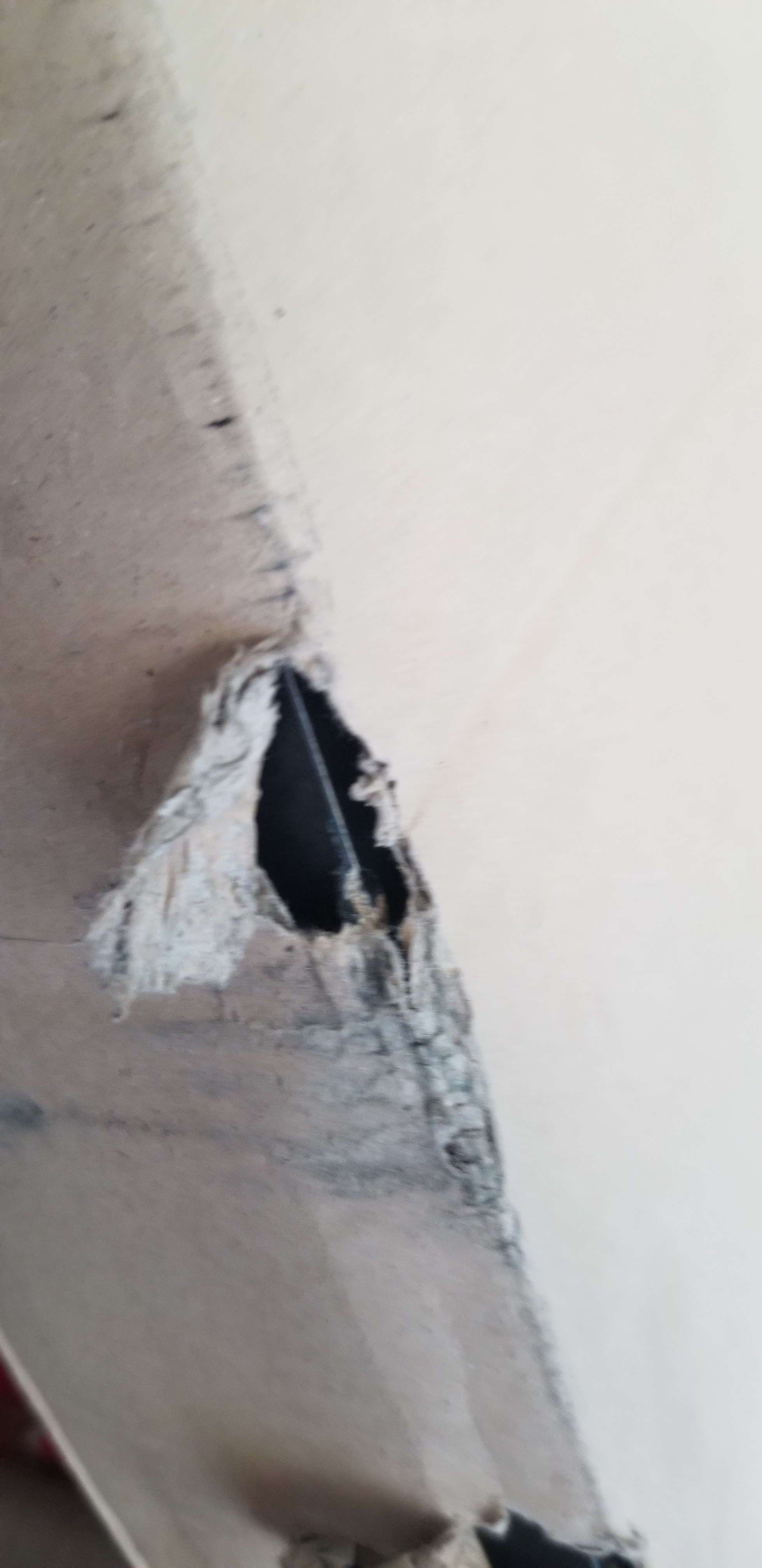 Photo n° 2 de l'avis de LeGrand.l fait le 11/06/2022 à 12:07