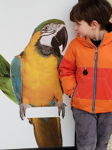 Pet Supply Store «Pets Plus», reviews and photos, 2286 Main St, Tewksbury, MA 01876, USA