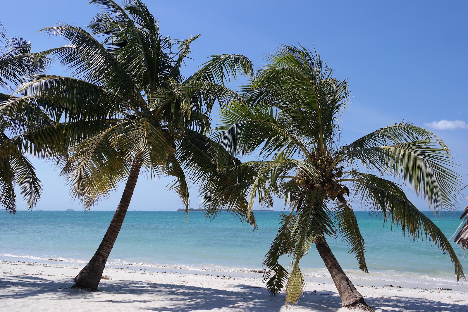 Foto af Bakhresa Beach med lang lige kyst