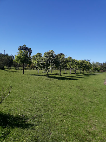 Parque Benito Solari