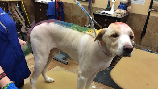 Pet Supply Store «PetSmart», reviews and photos, 1751 N Central Expy, McKinney, TX 75070, USA