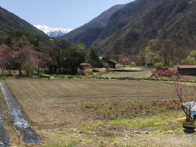 鳥ヶ池キャンプ場 長野県大鹿村大河原 キャンプ場 グルコミ