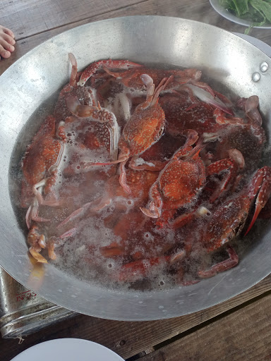 Top 20 mở cửa hàng Huyện Giồng Trôm Bến Tre 2022