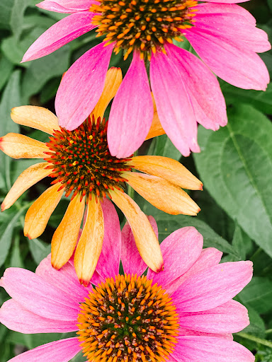 Hardware Store «Economy Supply of Lebanon», reviews and photos, 1055 Tangent St, Lebanon, OR 97355, USA