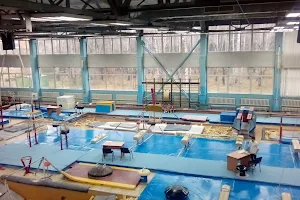 Dvorets Sportivnoy Gimnastiki image