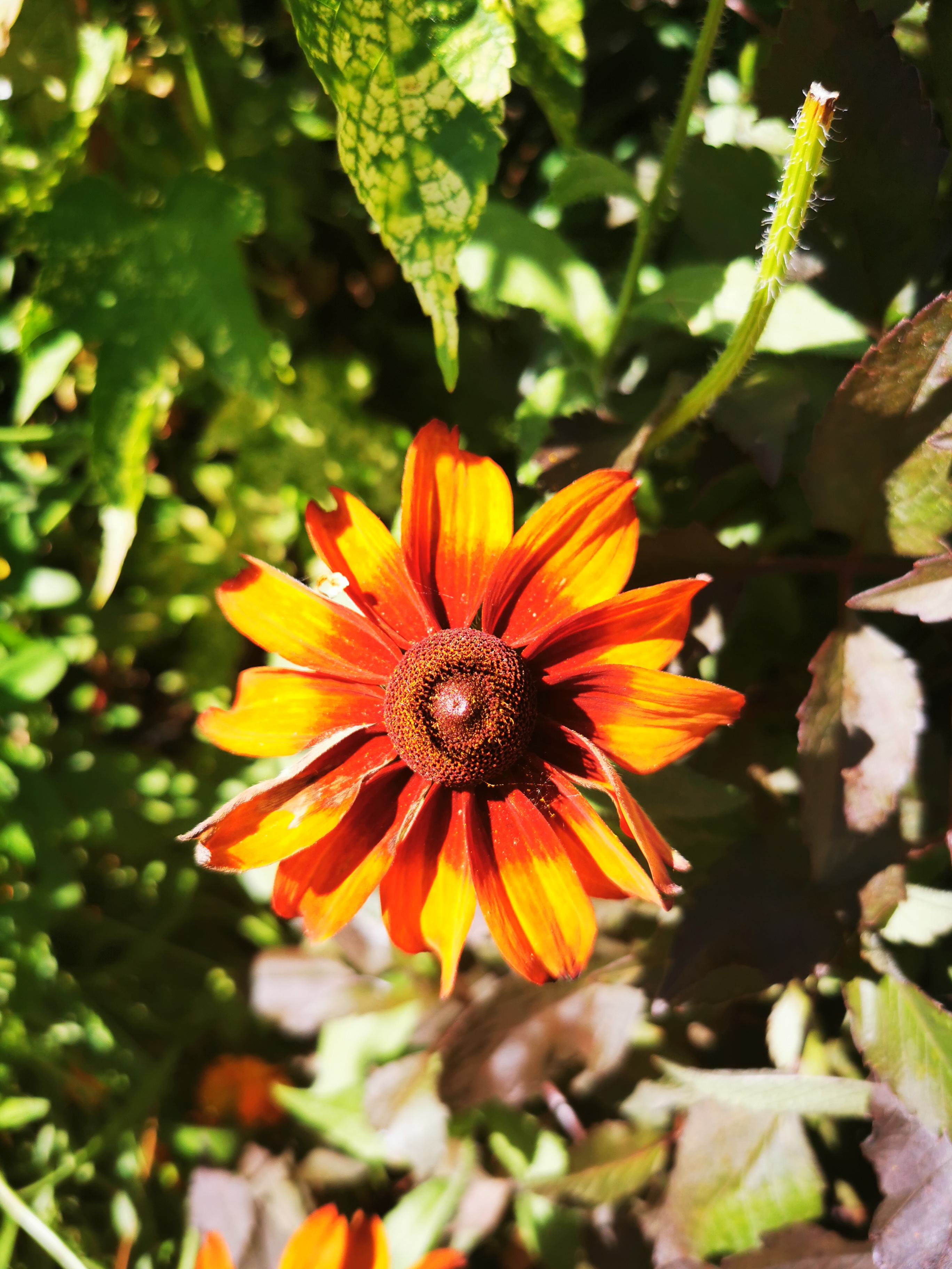 Photo n° 20 de l'avis de ASMA.A fait le 16/08/2022 à 18:29