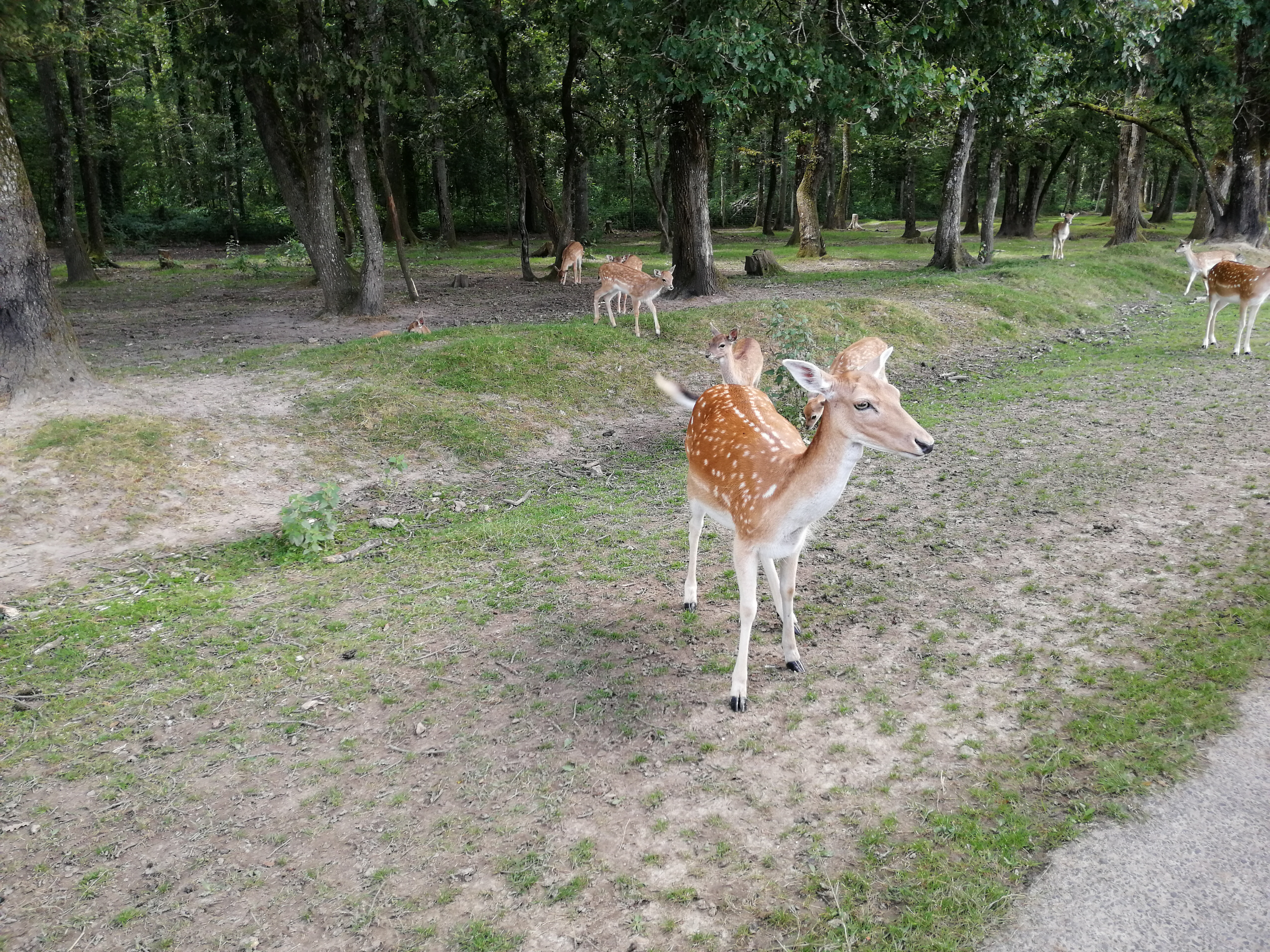 Photo n° 2 de l'avis de Yann.a fait le 25/12/2023 à 18:30