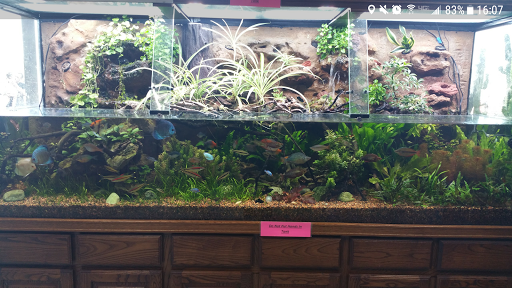 Tropical Fish Store «Tropiquarium & Petland», reviews and photos, 1100 NJ-35, Ocean Township, NJ 07712, USA