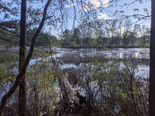 Park «Russell Mill Pond and Town Forest», reviews and photos, 105 Mill Rd, Chelmsford, MA 01824, USA