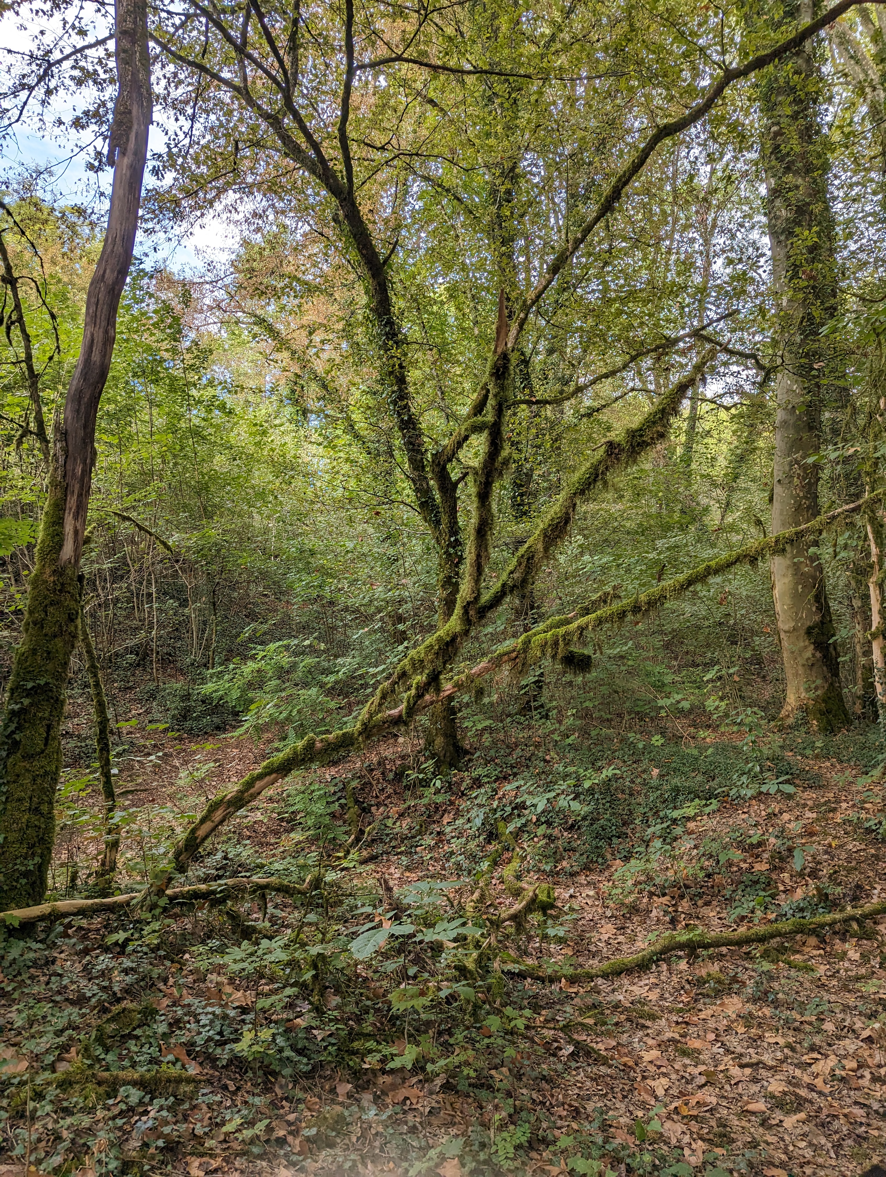 Photo n° 1 de l'avis de Irène.. fait le 15/09/2023 à 10:01