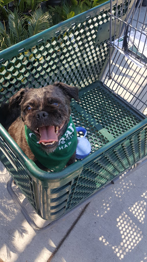 Hardware Store «Orchard Supply Hardware», reviews and photos, 300 Floresta Blvd, San Leandro, CA 94578, USA