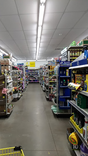 Discount Store «Dollar General», reviews and photos, 10023 KY-80, Fancy Farm, KY 42039, USA