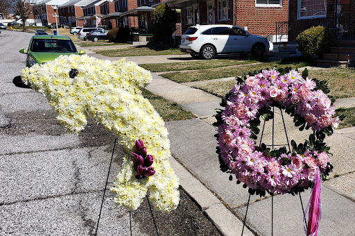 Florist «Dino Designs of Baltimore», reviews and photos, 330 N Charles St, Baltimore, MD 21201, USA