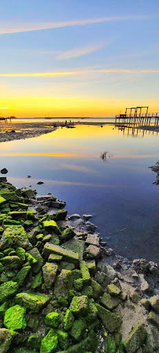 Park «Edgewater Park», reviews and photos, 51 Main St, Dunedin, FL 34698, USA