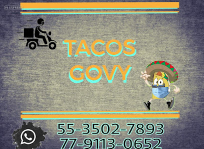 Tacos GOVY - Privada Natividad fracc los amores de don Juan, Hgo., Mexico