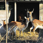 Photo n° 20 de l'avis de Mégane.. fait le 08/07/2018 à 21:10 pour Zoo d'Amiens Métropole à Amiens