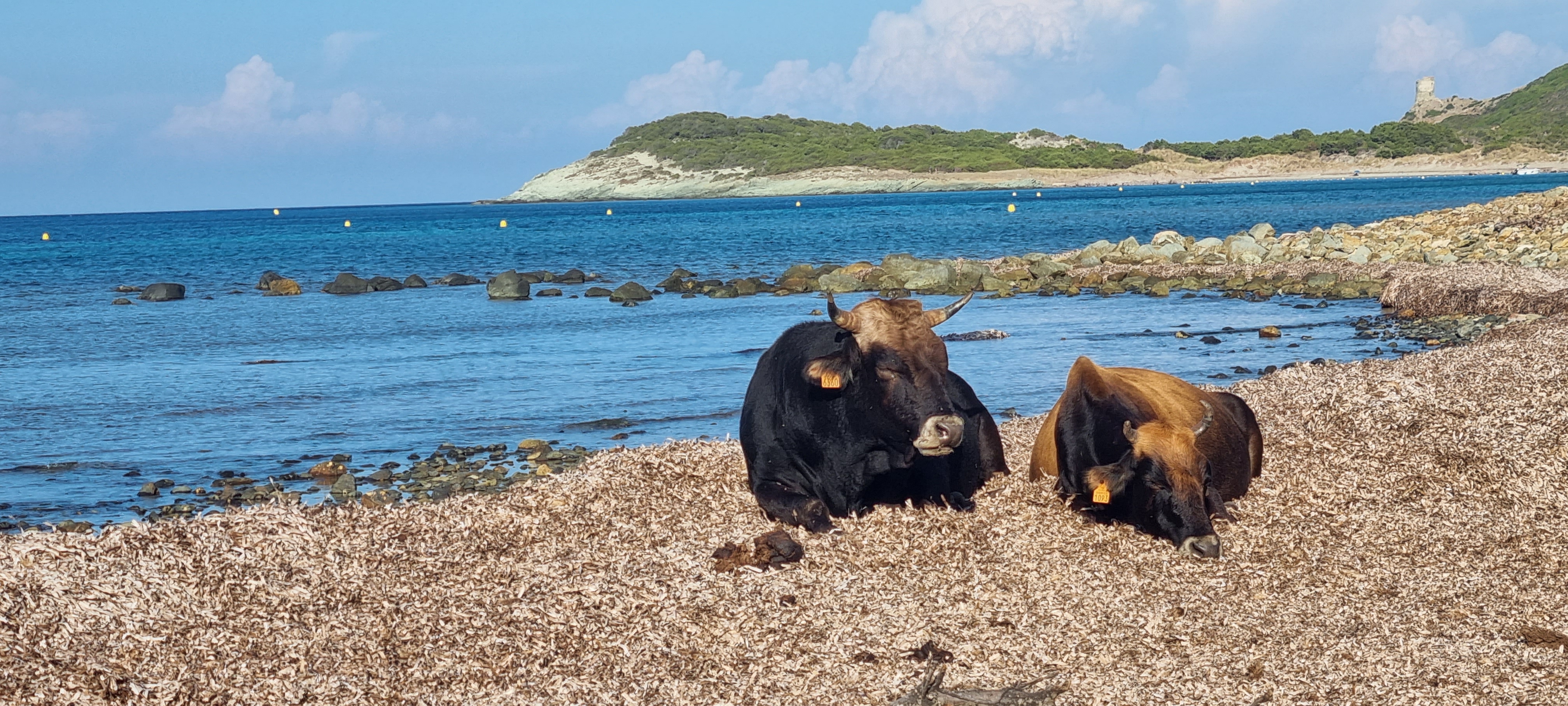Photo n° 5 de l'avis de yvonne.i fait le 15/09/2023 à 17:08