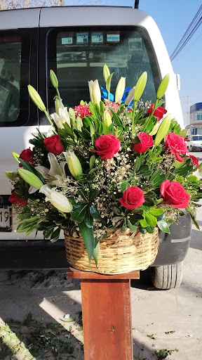 La Floreria