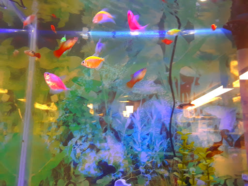 Pet Supply Store «Pets For You», reviews and photos, 413 N Main St, Rice Lake, WI 54868, USA