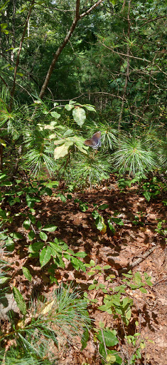 Campground «Lorraine Park Campground», reviews and photos, 133 Jenkins Rd, Andover, MA 01810, USA