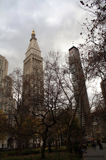 Insurance Agency «Met Life», reviews and photos