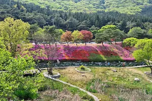 Suman-ri Cheoljjuk Park image