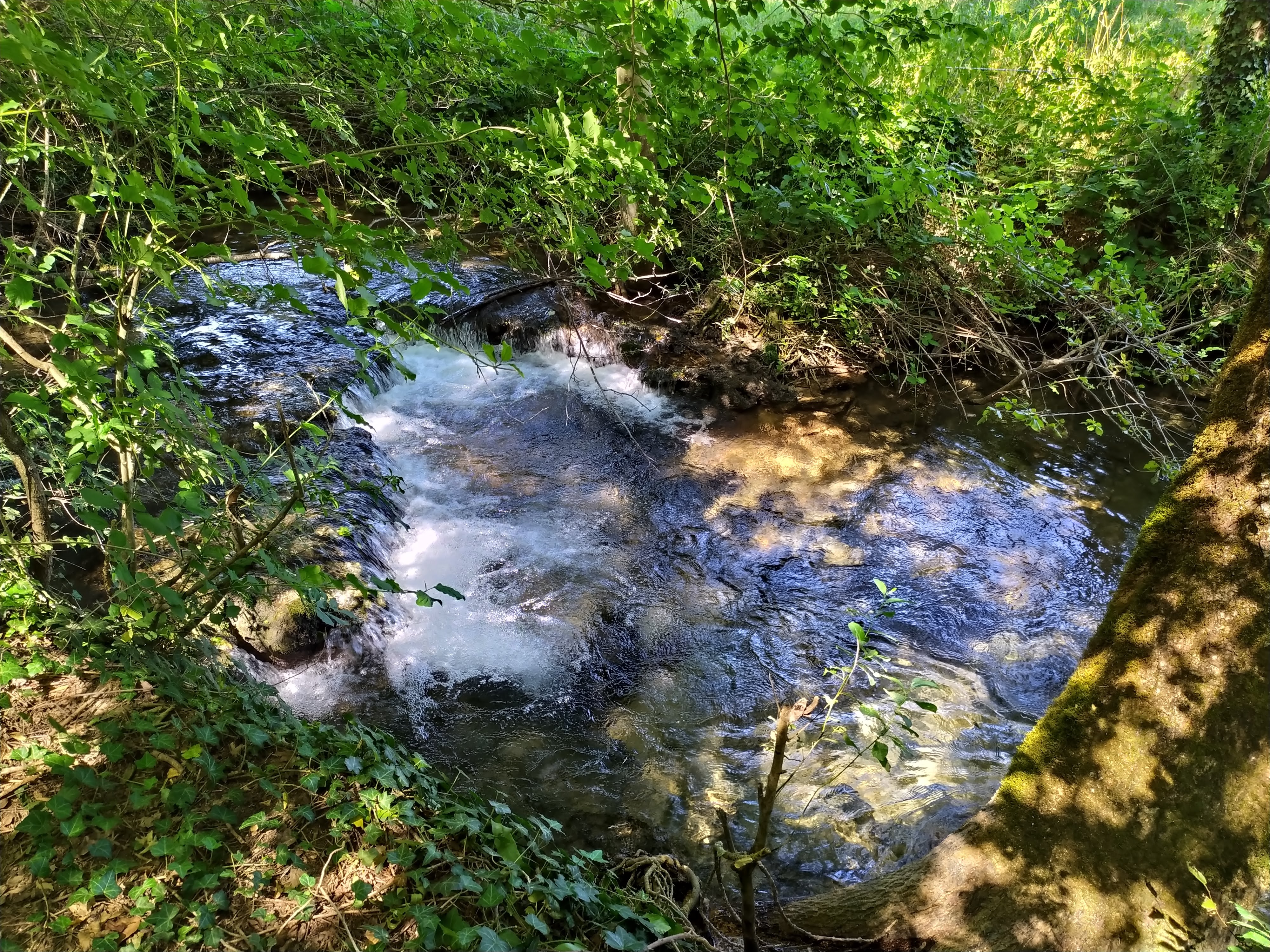Photo n° 4 de l'avis de Ghisam.e fait le 21/07/2020 à 12:54