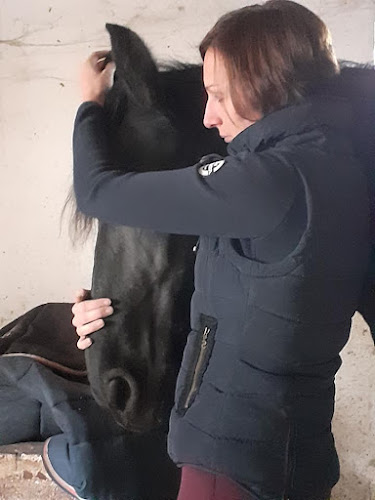 Beoordelingen van Auré Ki - soin shiatsu et reiki pour le cheval et son cavalier in Marche-en-Famenne - Massagetherapeut