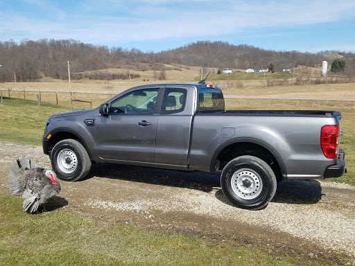 Ford Dealer «Bob Chapman Ford», reviews and photos, 1255 Columbus Ave, Marysville, OH 43040, USA