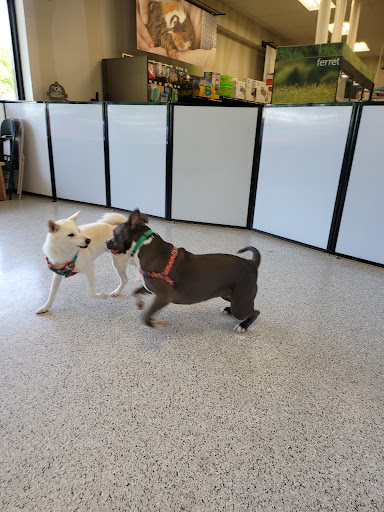 Pet Supply Store «Petco Animal Supplies», reviews and photos, 1203 SE Everett Mall Way f, Everett, WA 98208, USA