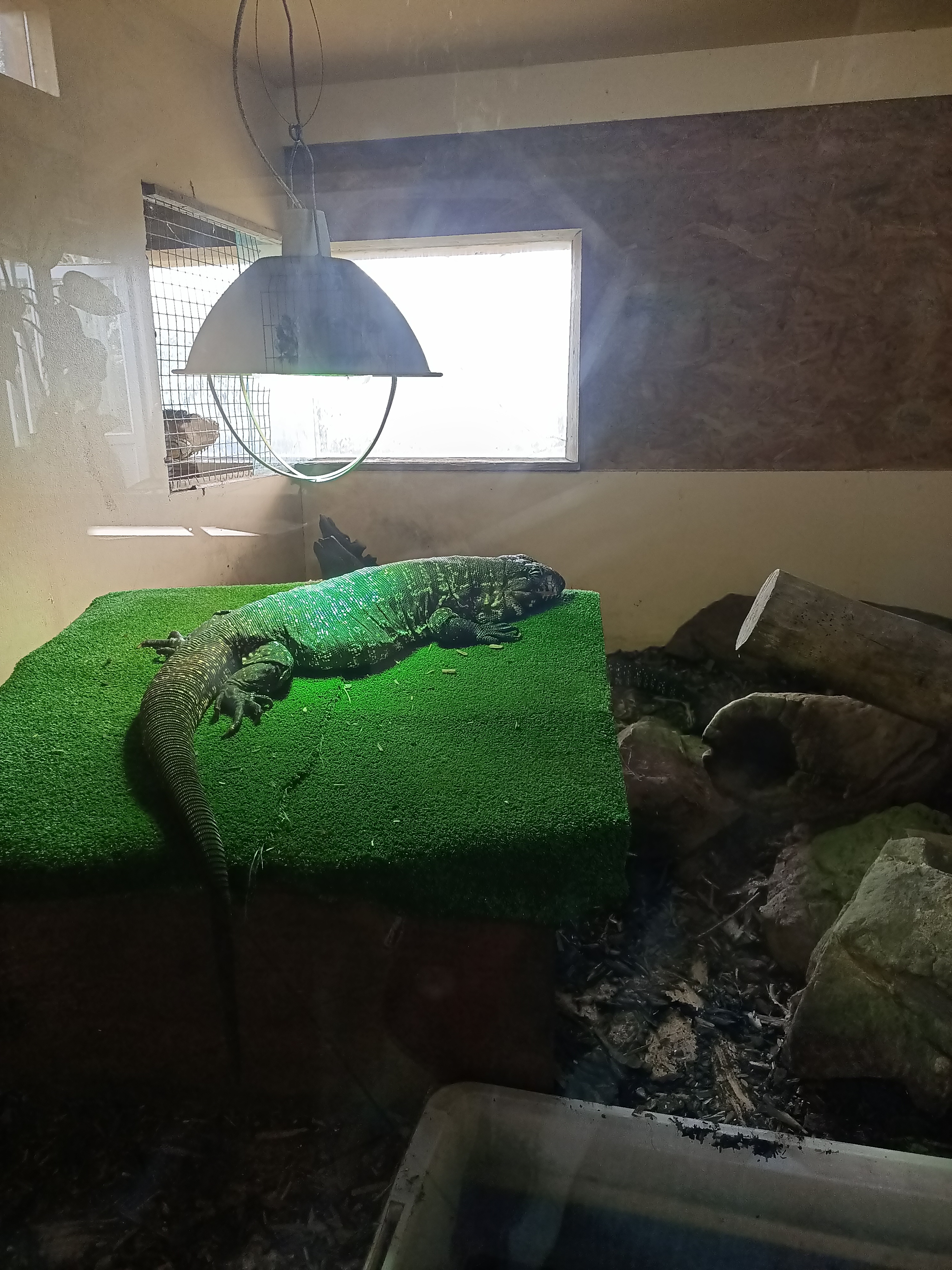 Photo n° 19 de l'avis de Dufau.a fait le 21/02/2024 à 14:51